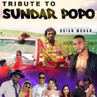 Tribute To Sundar Popo - Single - Brian Mohan