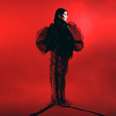 mi triste mi calme - Single