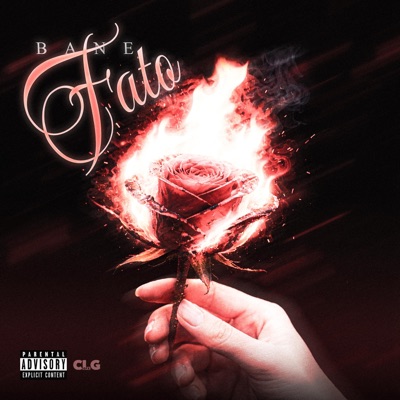 FATO - Single