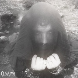 taste love CLEARJAW