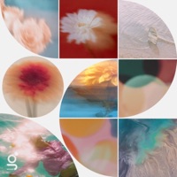 All My Love (feat. AMARI) - Single - Da Illest & DRVN