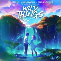 Wild Things (feat. Nathan Brumley) - Single - Sanitune, Unknown N. & Anas Sameer