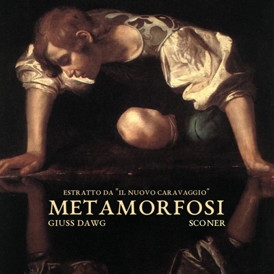 Metamorfosi (feat. Sconer) - Single