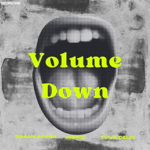 Volume Down (feat. Yung Delic & Mxrci)