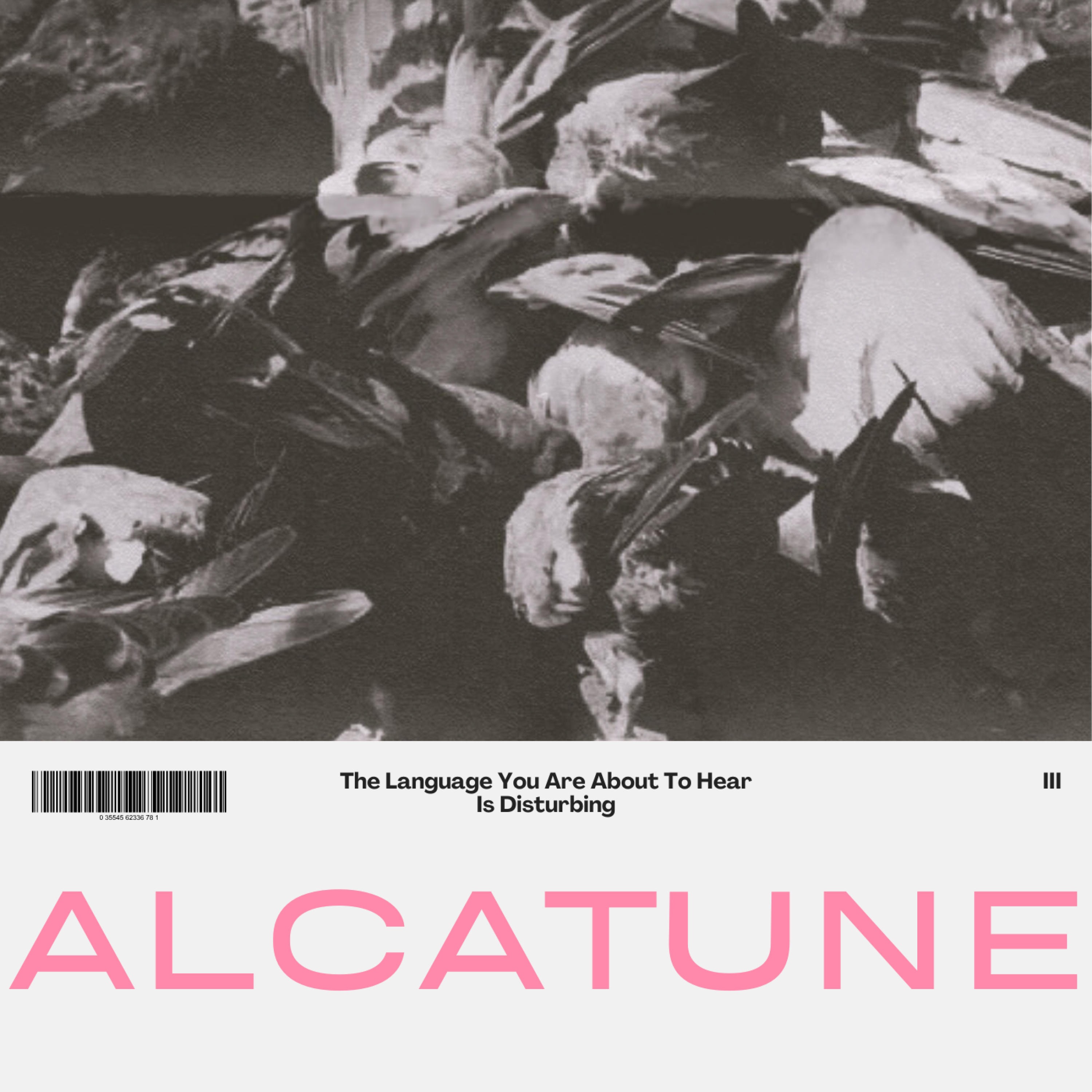 The Language You Are About To Hear Is Disturbing - Single