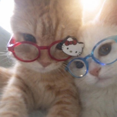 hurts so bad (feat. raine's reverie) - Single