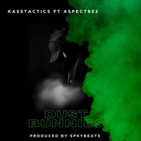 Dust Bunnies (feat. Aspect852) - Single - Kasstactics