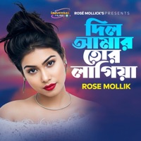 Dil Amr Tur lagiya - Single - Rose Mollick