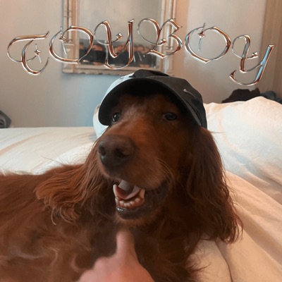 TOYBOY - Single