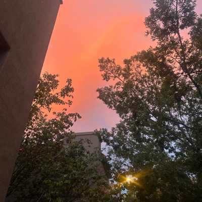 A HARMLESS MELODY - Single