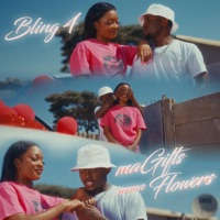 Magifts nema flowers (Radio Edit) - Single - Bling4