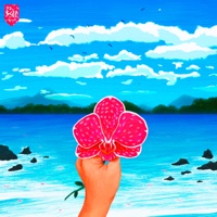 Orchid Oceans - EP - Chiccote's Beats & Mindeliq