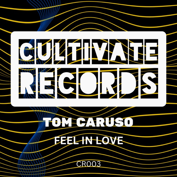 Feel In Love - Single