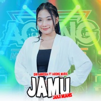 Jamu (Janji Muanis) [feat. Ageng Music] - Single - Din Annesia