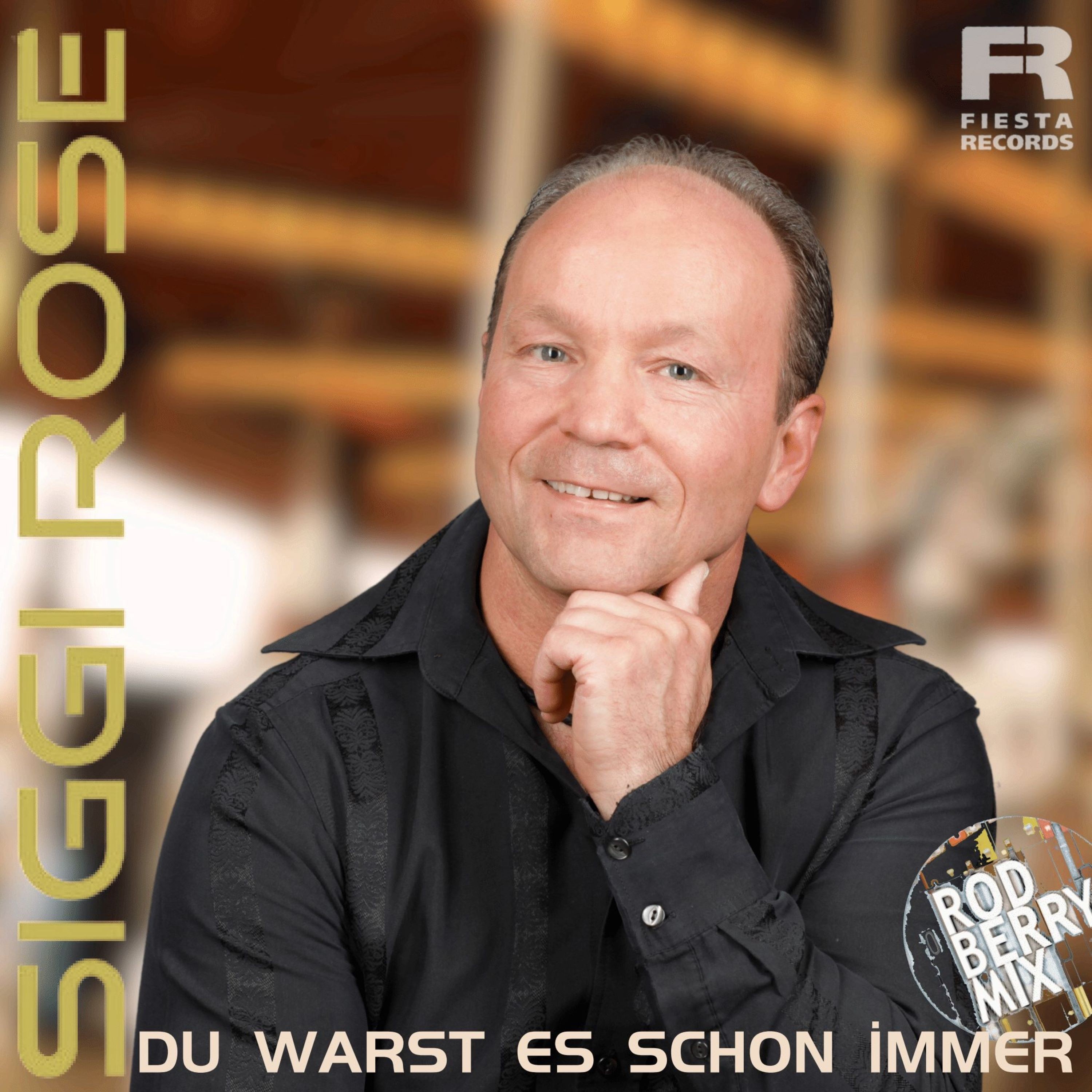 Du warst es schon immer (Rod Berry Mix) - Single
