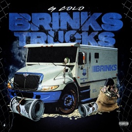 Brinks Truck (feat. TooWavy) G Colo