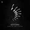 Ectima, Zyce & Flegma - Satelite