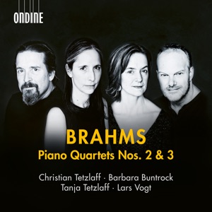 Piano Quartet No. 3 in C Minor, Op. 60: III. Andante