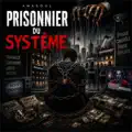 Prisonnier Du Systeme