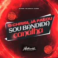 O Chrisl Já Falou Sou Bandida Canalha (feat. MC Luana SP & MC FRODY) - Single - DJ CHRISL
