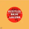 Nicostyledj