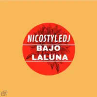 Bajo la luna — Nicostyledj