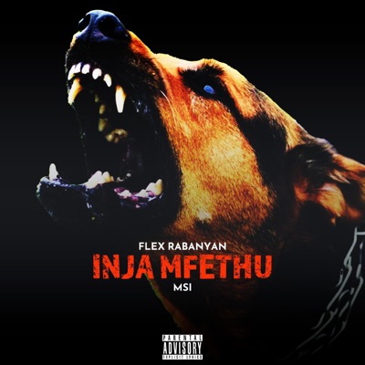 Inja Mfethu (feat. MSI) - Single