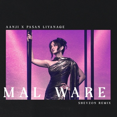 Mal Ware (Shevzon Remix) - Single