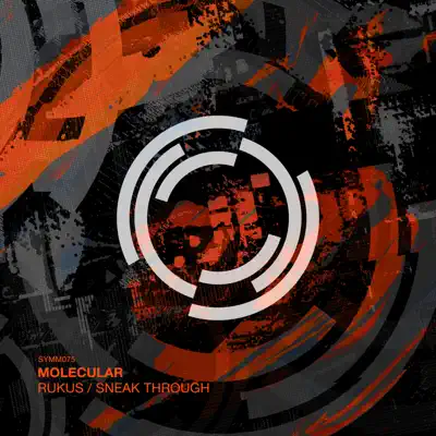 Listen to Rukus / Sneak Through - Single by Molecular