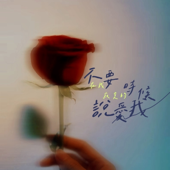 不要在我寂寞的时候说爱我 (不要在我寂寞的时候说爱我)