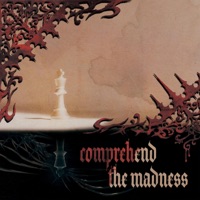 comprehend the madness - ebnyrave
