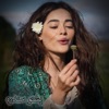 Afg Ai songs - نوی پشتو سندری ته می گل زه دی بلبل New Pashto songs 2026
