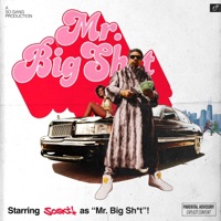 Mr. Big Shit - Soski