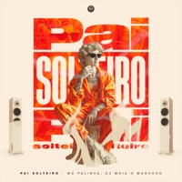 Pai Solteiro - Single - Mc Palinha