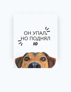 МУЗЫКАВМЕСТЕ: песни, клипы, биография, даты выступлений и многое другое.