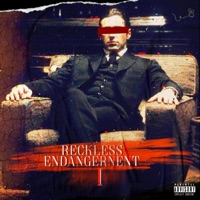Reckless Endangerment (DELUXE) - Melly Santana