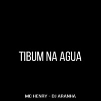 Tibum na Água - Single - DJ Aranha & Mc Henry