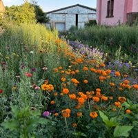 le début de la fin - Single - Yung Aeon