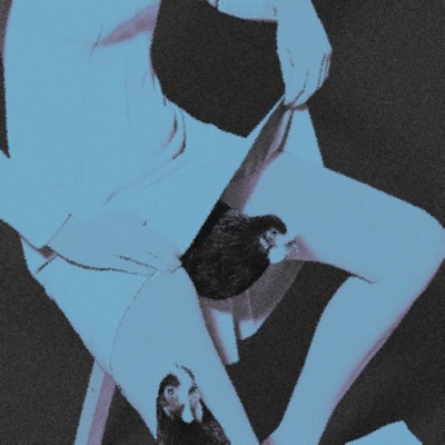 CHICKEN DUST - Single