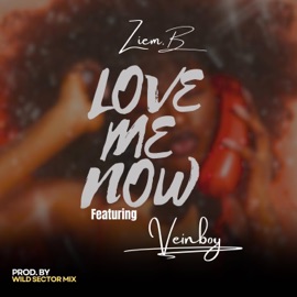 Love Me Now (feat. Veinboy) Ziem B