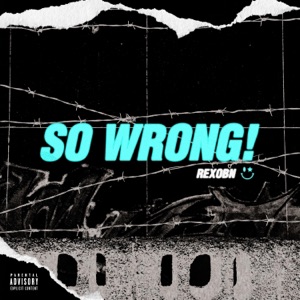 So Wrong! - Single
