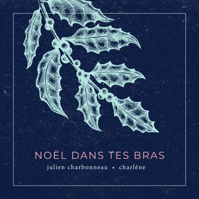 Noël dans tes bras - Single