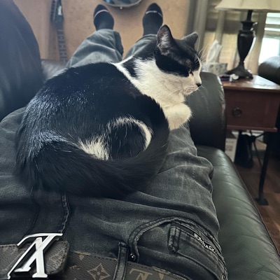 Wats 0n My M1nd (Prod. Zanzabob & Lxrnmd) (feat. HexHexxx) - Single