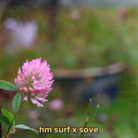 memory HM Surf & sove