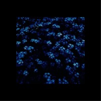 thoughts in my head (feat. Zotiyac) - Single - zaya archive