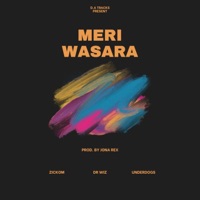 Meri Wasara (feat. Zickom, Dr Wiz & Underdogs) - Single - Jona Rex