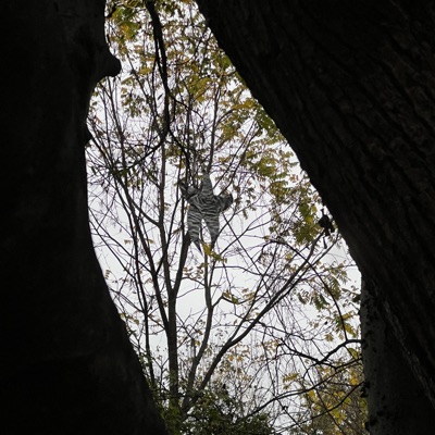 draw a smile (voice memo) - Single