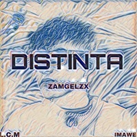 DISTINTA - Single - Zamgelzx