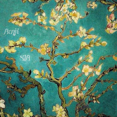 VAN GOGH (feat. Benji24) - Single