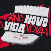 Ano Novo Vida Nova 2025 (Ser Solteiro É Muito Bom) - Single - DJ GR BEATS, Mc Raunike & HitsWave
